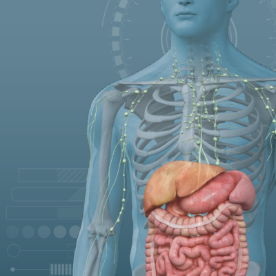 The Neuroendocrine Immunology of the Inflammatory Autoimmune Signaling Systems and Exercise™