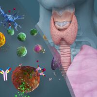 Food Sensitivity: The Hormone Connection™ How Hormones Impact Food Sensitivity Icon