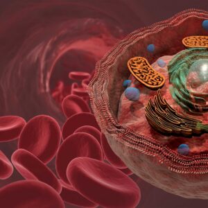 BSD_Blood-Sugar-Dynamics-icon