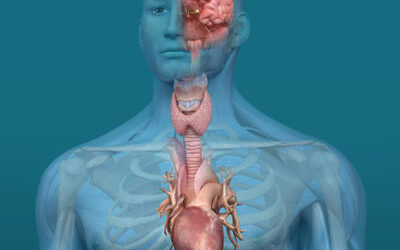 Functional Endocrinology: Connecting New Research With Practical Applications