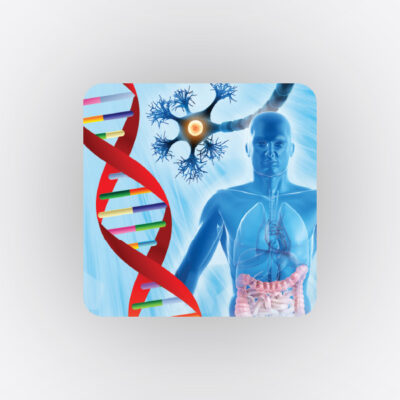Inflammatory and Autoimmune Signaling Systems Featured image-80