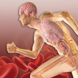 NIE_Neuroendocrine_Immunlolgyof_Exercise_icon