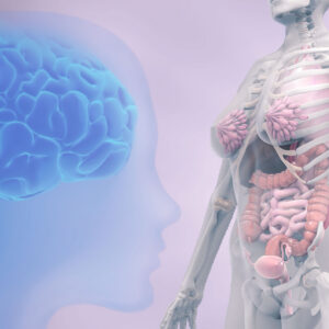 NIP_Neuroendocrine_Immunology_Perimenopause_icon