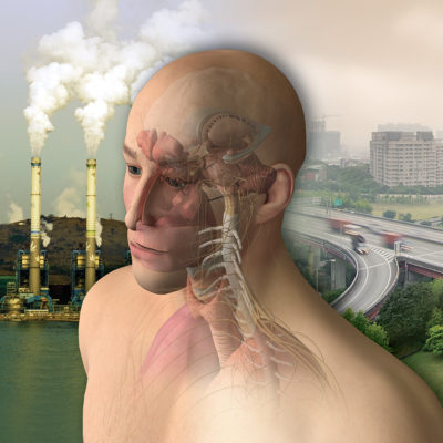 Neuroendocrine Immunology of Environmental Triggers