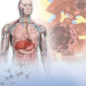 RNO_Role_Nitric_Oxide_Glutathioneand_icon