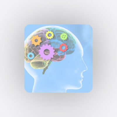 Renewing the Aging Brain Featured image-80