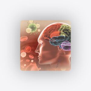 hero-grey-Brain Immune Axis-80